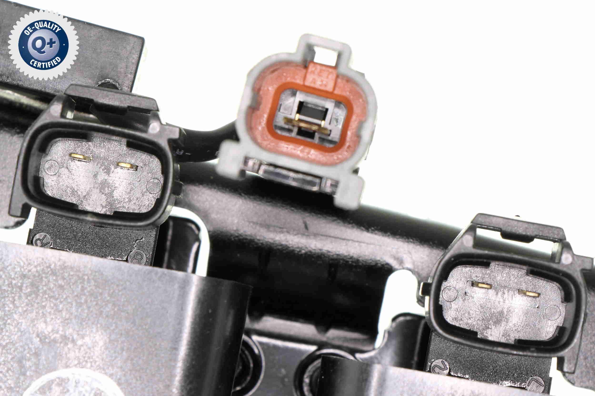 Ritė, uždegimas ACKOJA A52-70-0007