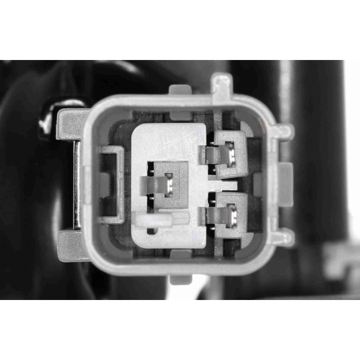 Ritė, uždegimas ACKOJA A52-70-0008