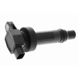 Ritė, uždegimas ACKOJA A52-70-0013