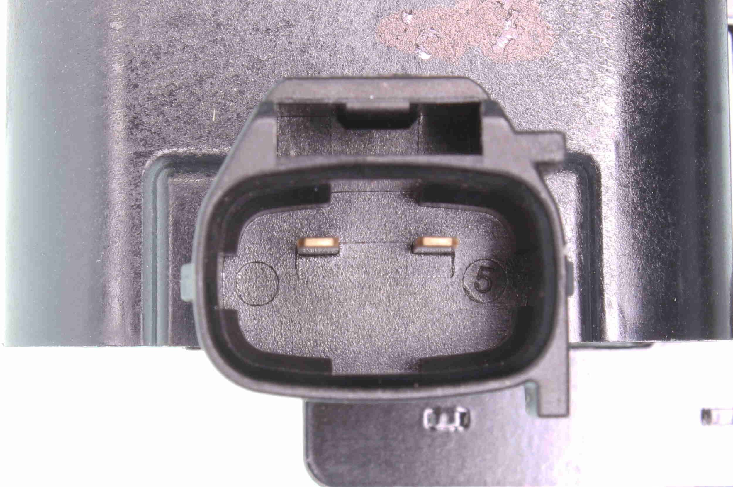 Ritė, uždegimas ACKOJA A52-70-0016