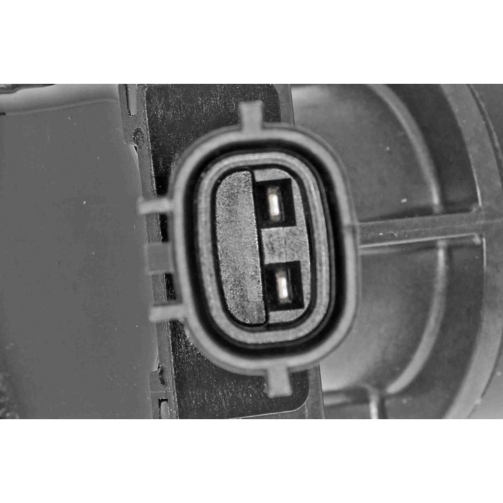 Ritė, uždegimas ACKOJA A52-70-0039