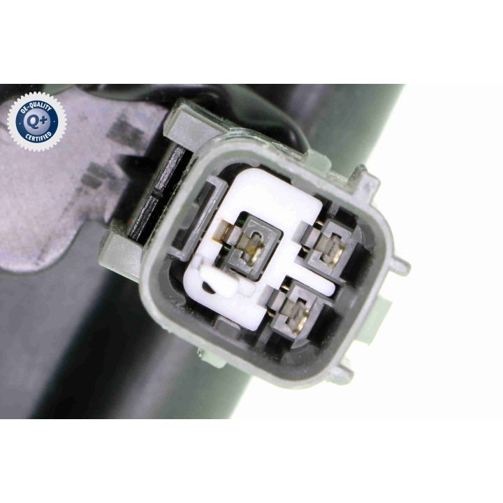 Ritė, uždegimas ACKOJA A52-70-0040