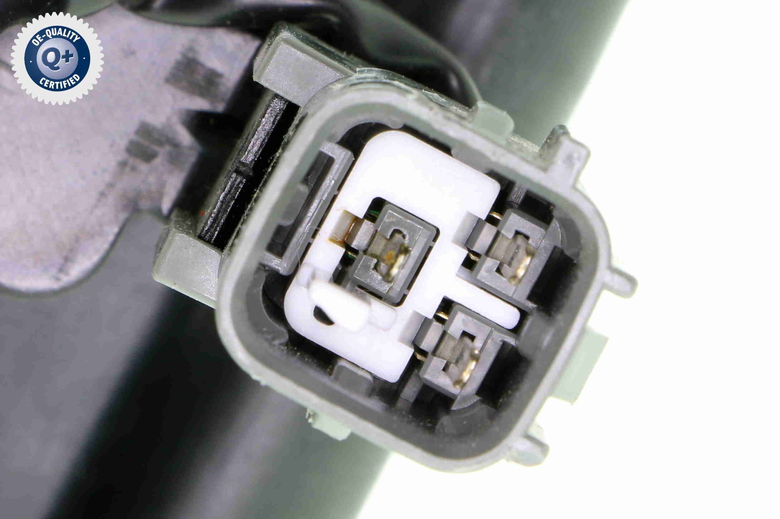 Ritė, uždegimas ACKOJA A52-70-0040