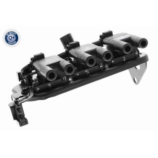 Ritė, uždegimas ACKOJA A52-70-0041