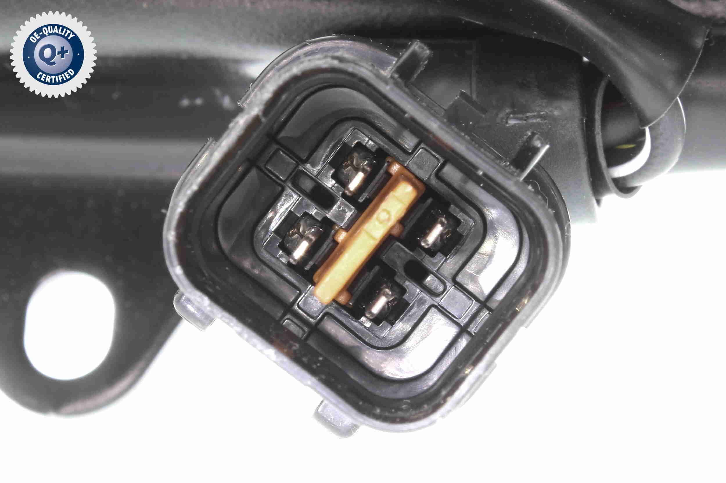 Ritė, uždegimas ACKOJA A52-70-0041