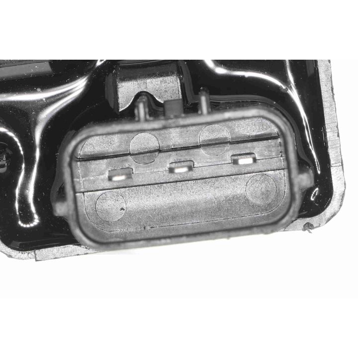 Ritė, uždegimas ACKOJA A52-70-0046