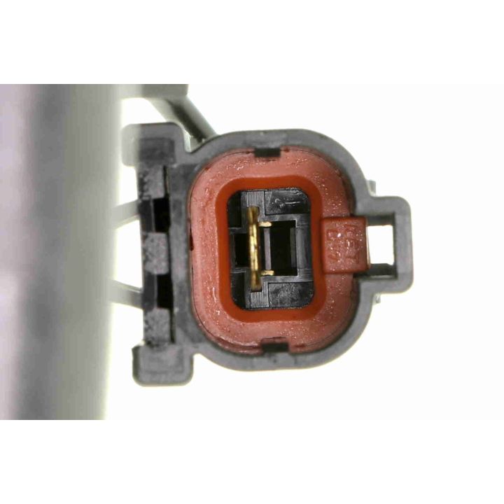 Ritė, uždegimas ACKOJA A53-70-0004