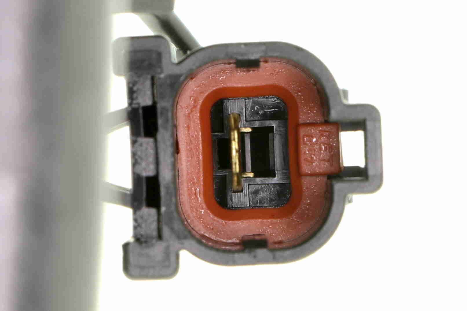 Ritė, uždegimas ACKOJA A53-70-0004