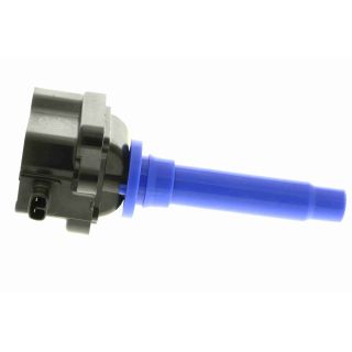 Ritė, uždegimas ACKOJA A53-70-0005