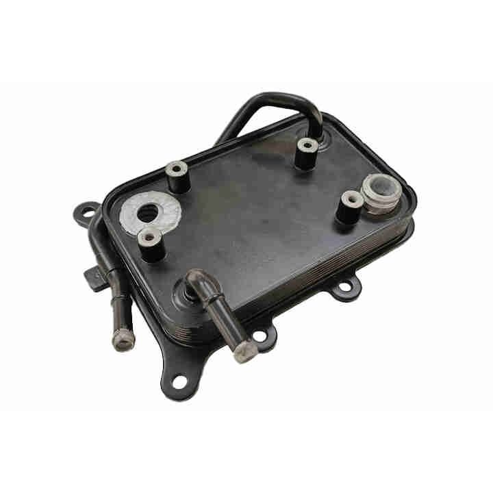 Alyvos aušintuvas, automatinė transmisija ACKOJA A52-60-0014