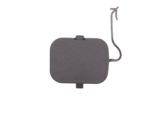 Buferio dangtis, vilkimo įtaisas BLIC 5513-00-2008925Q