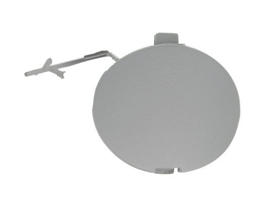 Buferio dangtis, vilkimo įtaisas BLIC 5513-00-2028920P