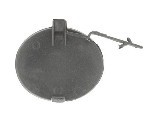 Buferio dangtis, vilkimo įtaisas BLIC 5513-00-2028920P