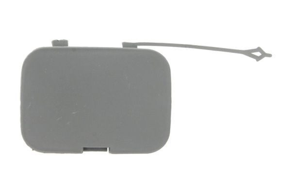 Buferio dangtis, vilkimo įtaisas BLIC 5513-00-2098920P