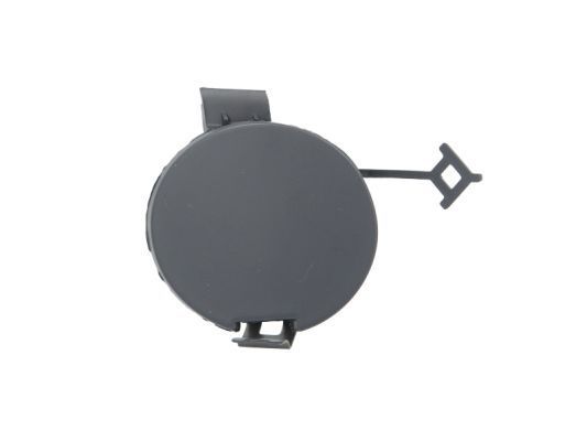 Buferio dangtis, vilkimo įtaisas BLIC 5513-00-3332920P