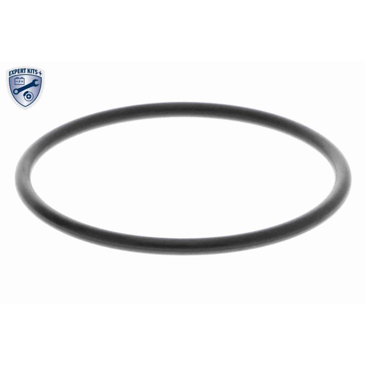 Vandens siurblys, variklio aušinimas ACKOJA A38-50011