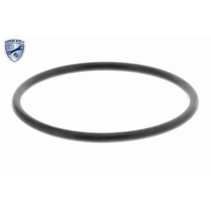 Vandens siurblys, variklio aušinimas ACKOJA A52-0708