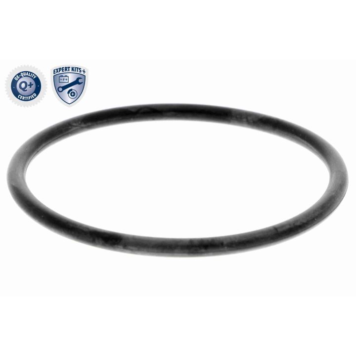 Vandens siurblys, variklio aušinimas ACKOJA A52-0709