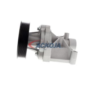 Vandens siurblys, variklio aušinimas ACKOJA A53-0704