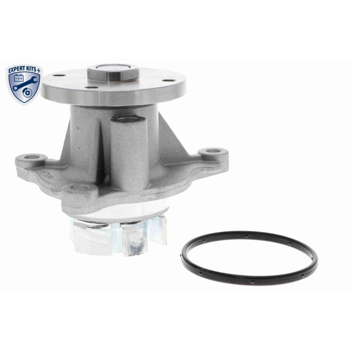 Vandens siurblys, variklio aušinimas ACKOJA A53-50010