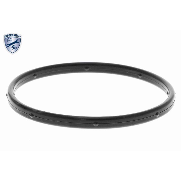 Vandens siurblys, variklio aušinimas ACKOJA A53-50010