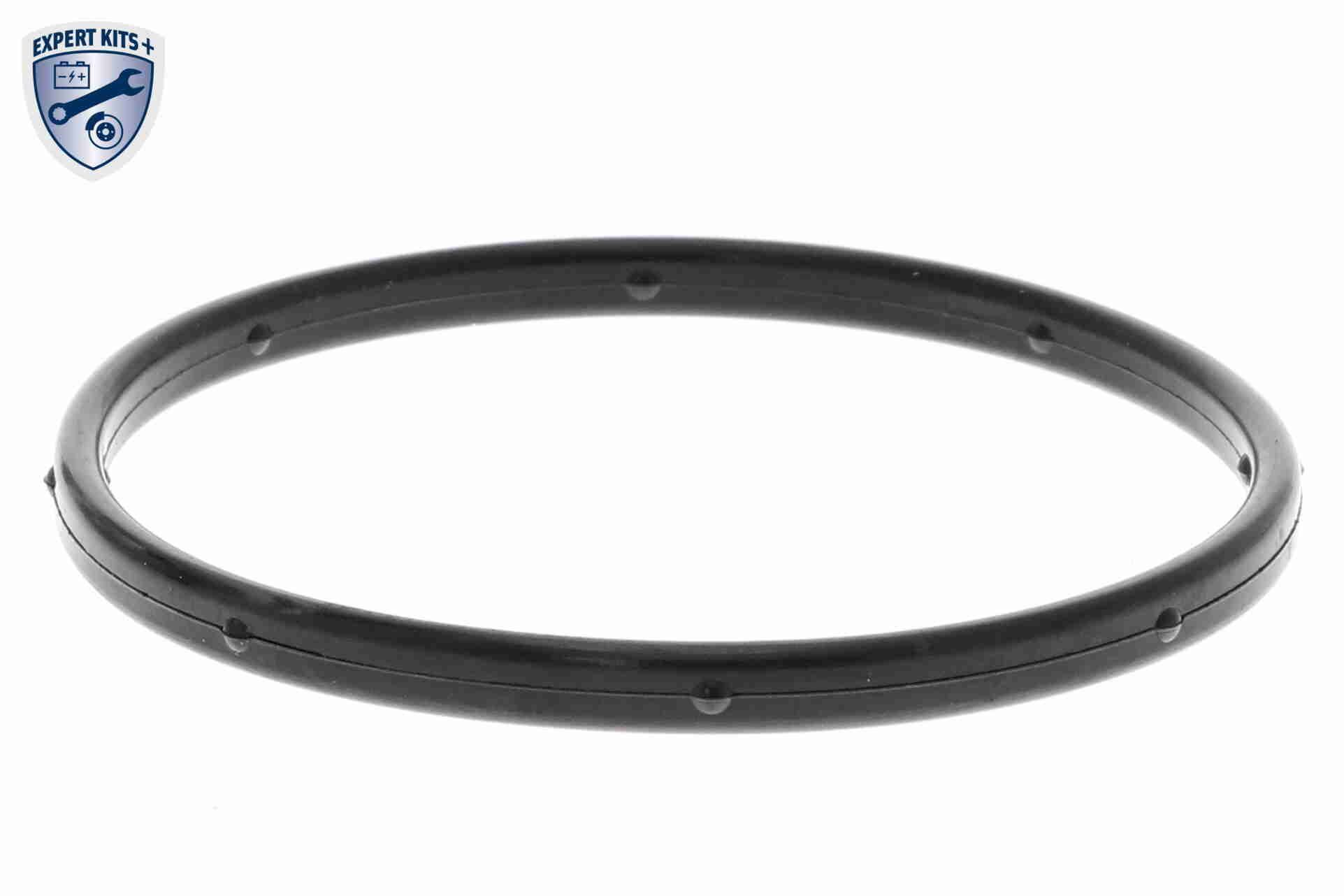 Vandens siurblys, variklio aušinimas ACKOJA A53-50010