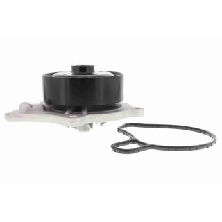 Vandens siurblys, variklio aušinimas ACKOJA A70-50033