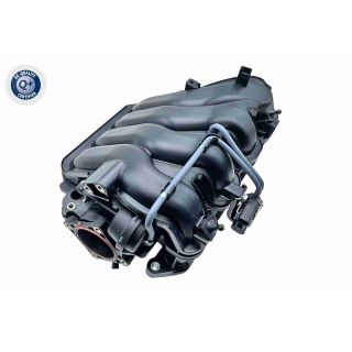 įsiurbimo kolektoriaus modulis ACKOJA A52-0166