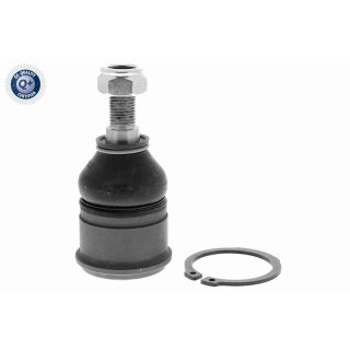 Šarnyras / girgždukas ACKOJA A26-1117