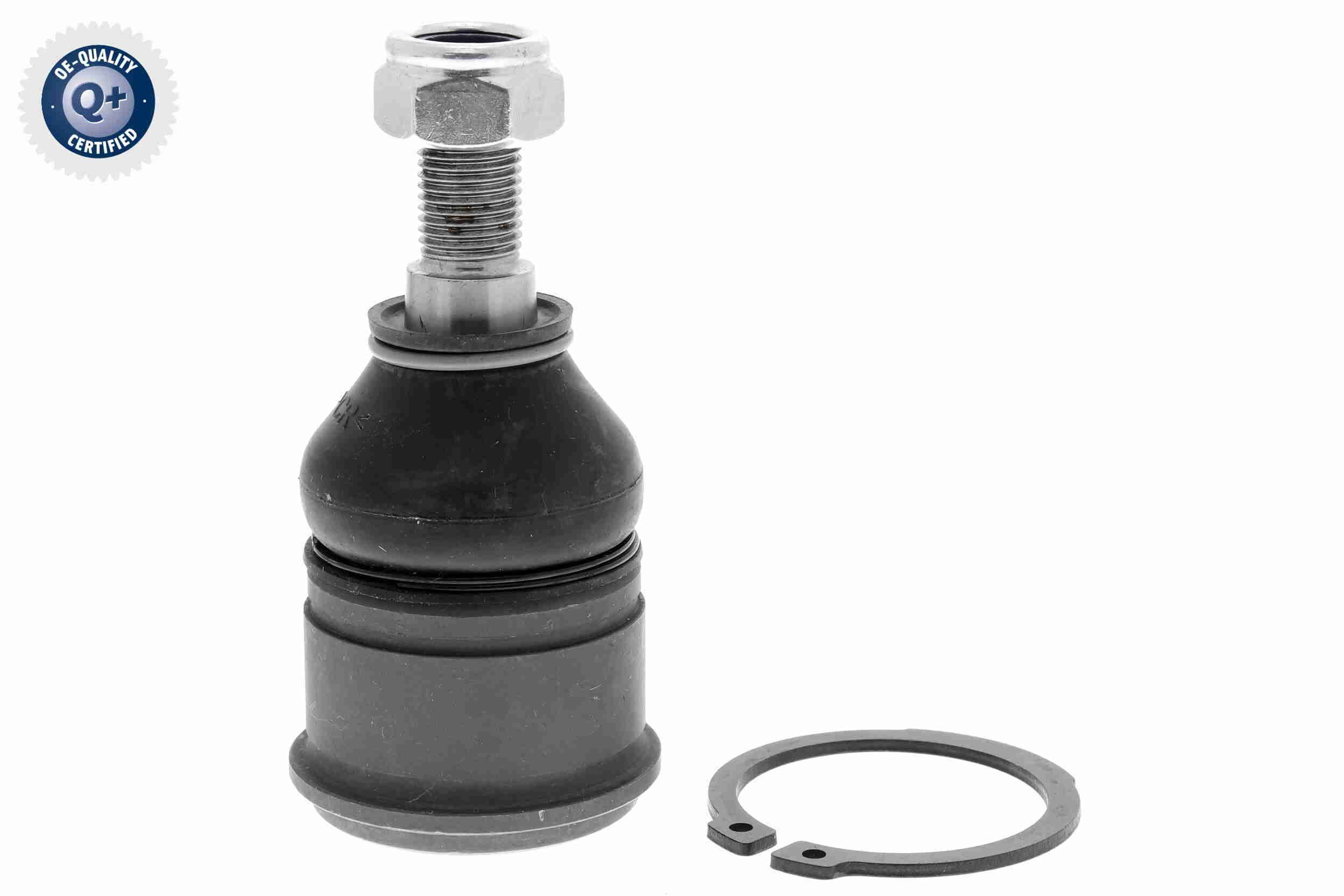 Šarnyras / girgždukas ACKOJA A26-1117