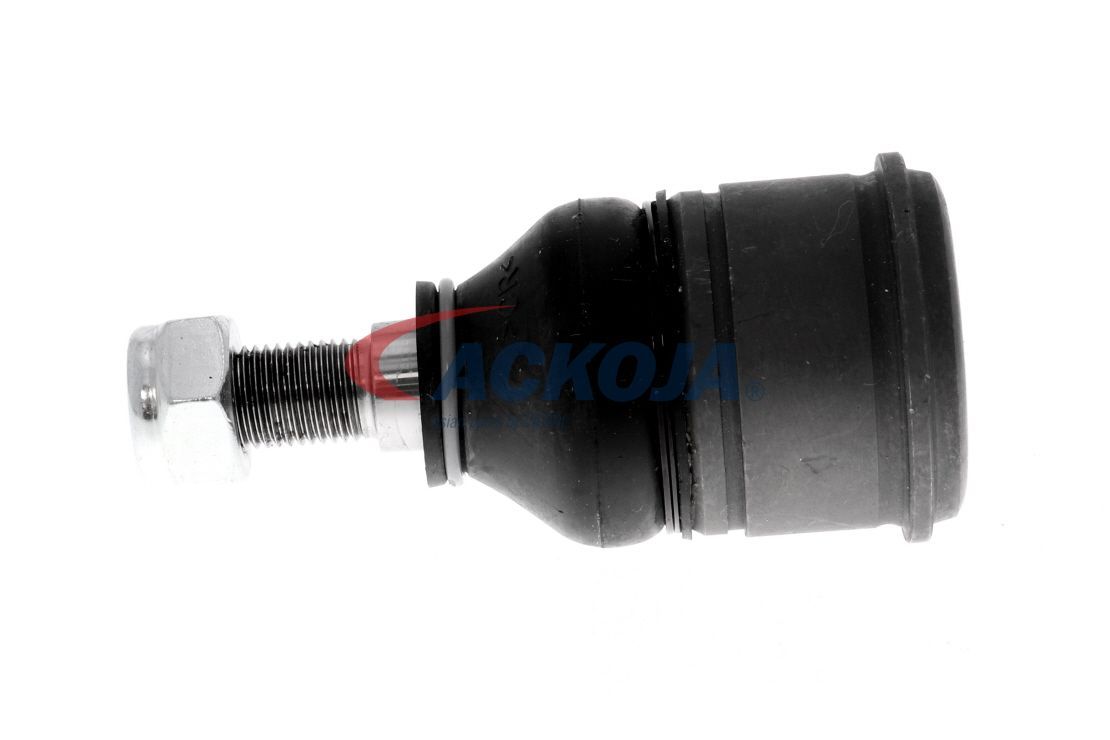 Šarnyras / girgždukas ACKOJA A26-1117