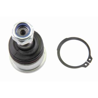 Šarnyras / girgždukas ACKOJA A26-9505