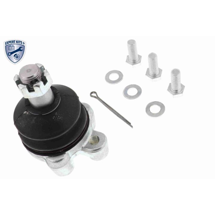 Šarnyras / girgždukas ACKOJA A37-1133