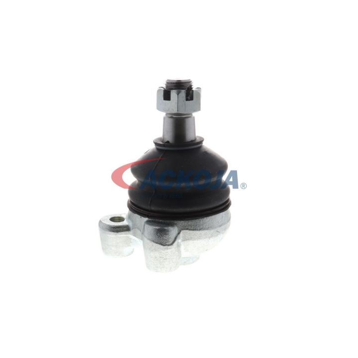 Šarnyras / girgždukas ACKOJA A37-1133