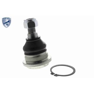 Šarnyras / girgždukas ACKOJA A37-9522