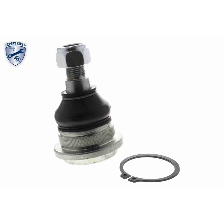 Šarnyras / girgždukas ACKOJA A37-9522