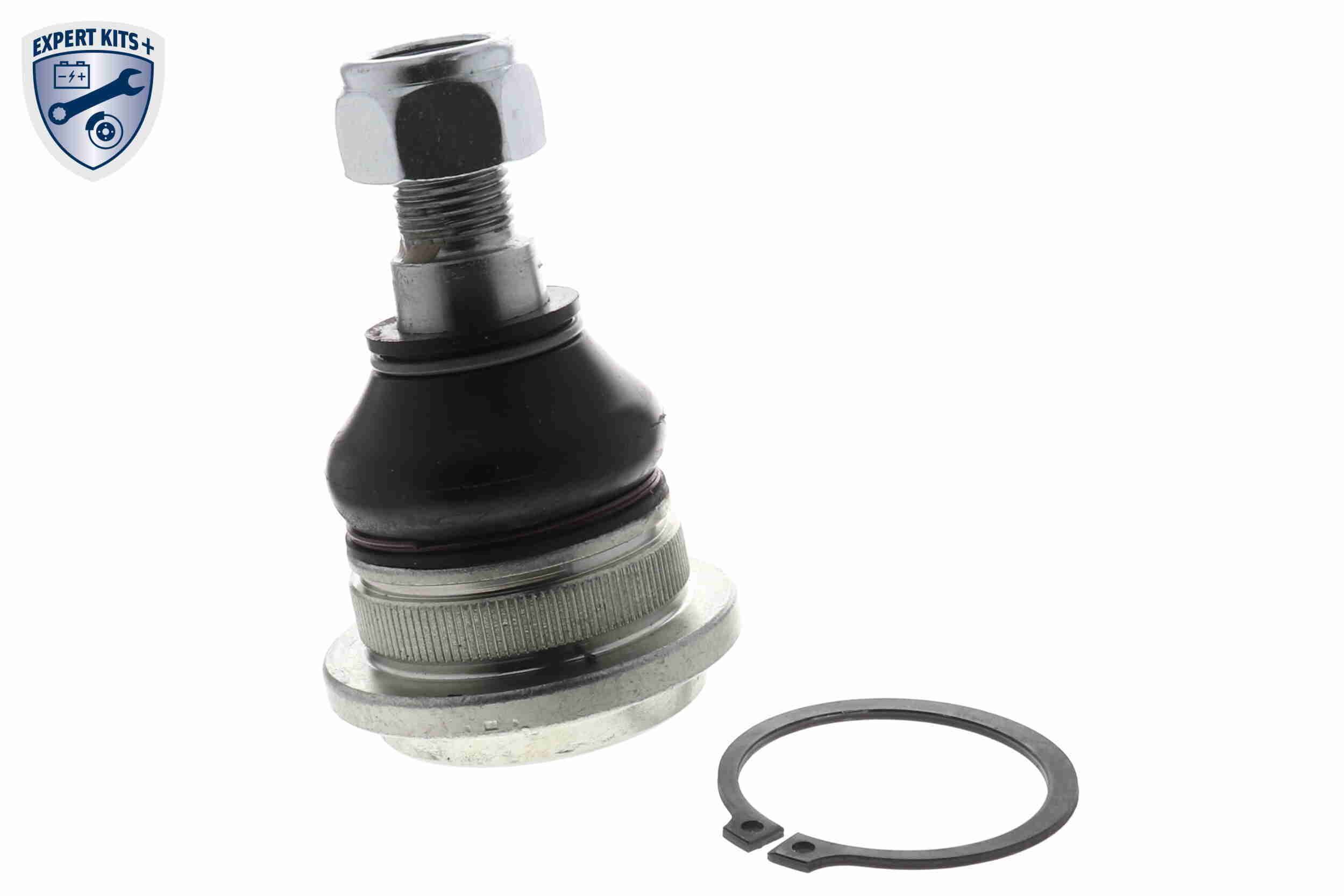 Šarnyras / girgždukas ACKOJA A37-9522