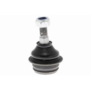 Šarnyras / girgždukas ACKOJA A38-9519