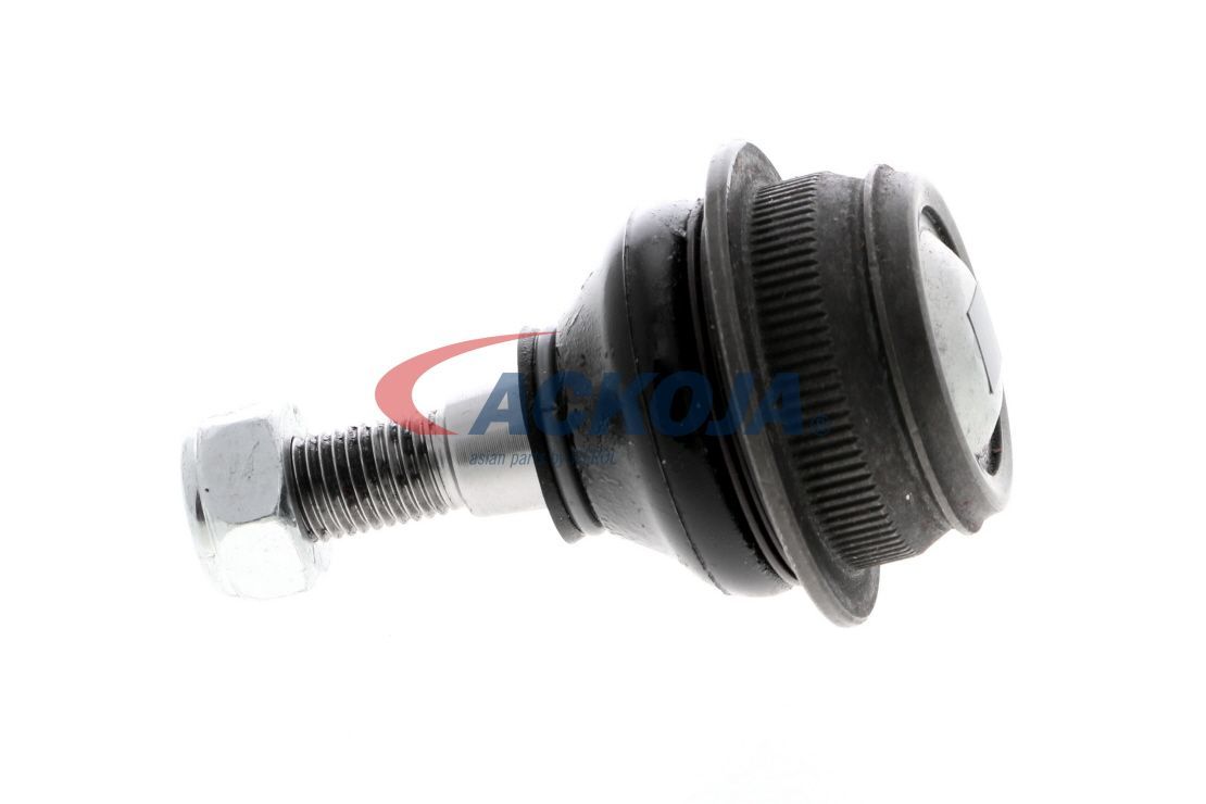 Šarnyras / girgždukas ACKOJA A38-9519