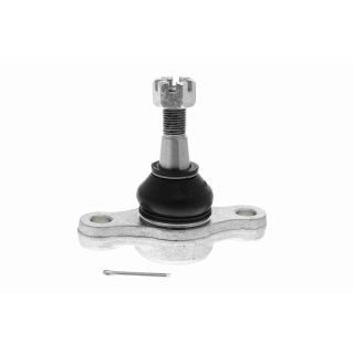 Šarnyras / girgždukas ACKOJA A52-0121