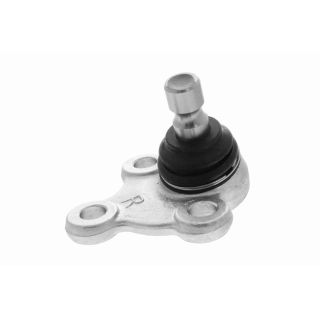 Šarnyras / girgždukas ACKOJA A52-0569