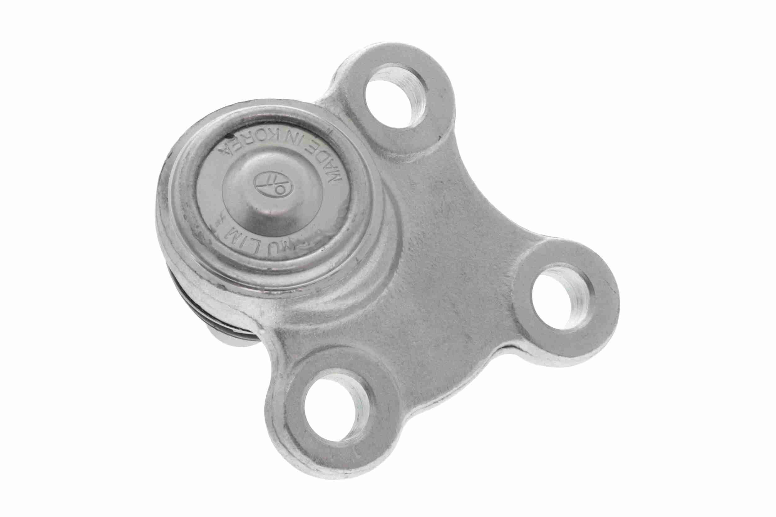 Šarnyras / girgždukas ACKOJA A52-0569