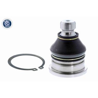 Šarnyras / girgždukas ACKOJA A52-1171