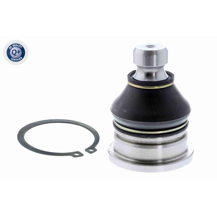 Šarnyras / girgždukas ACKOJA A52-1171