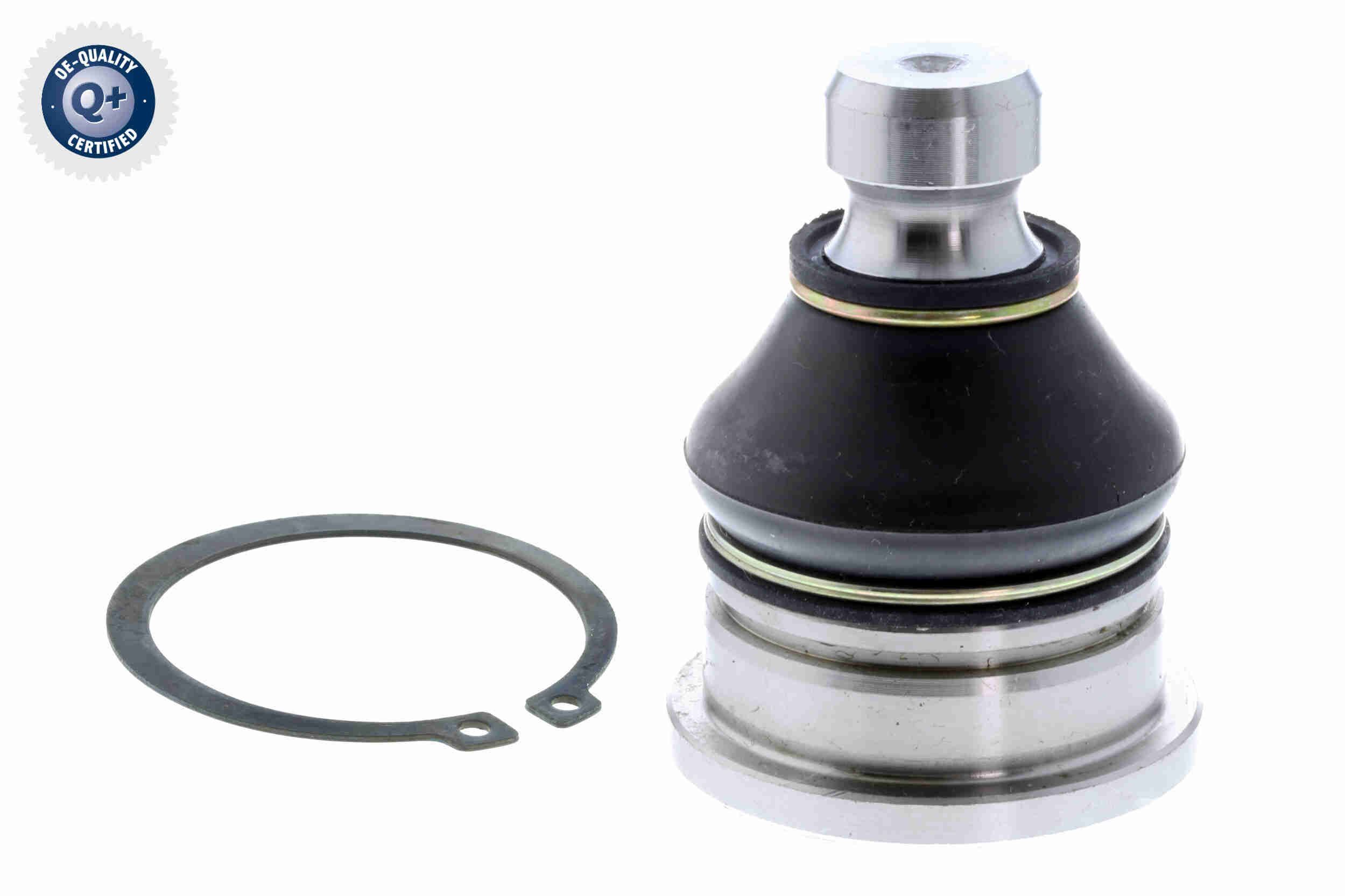 Šarnyras / girgždukas ACKOJA A52-1171