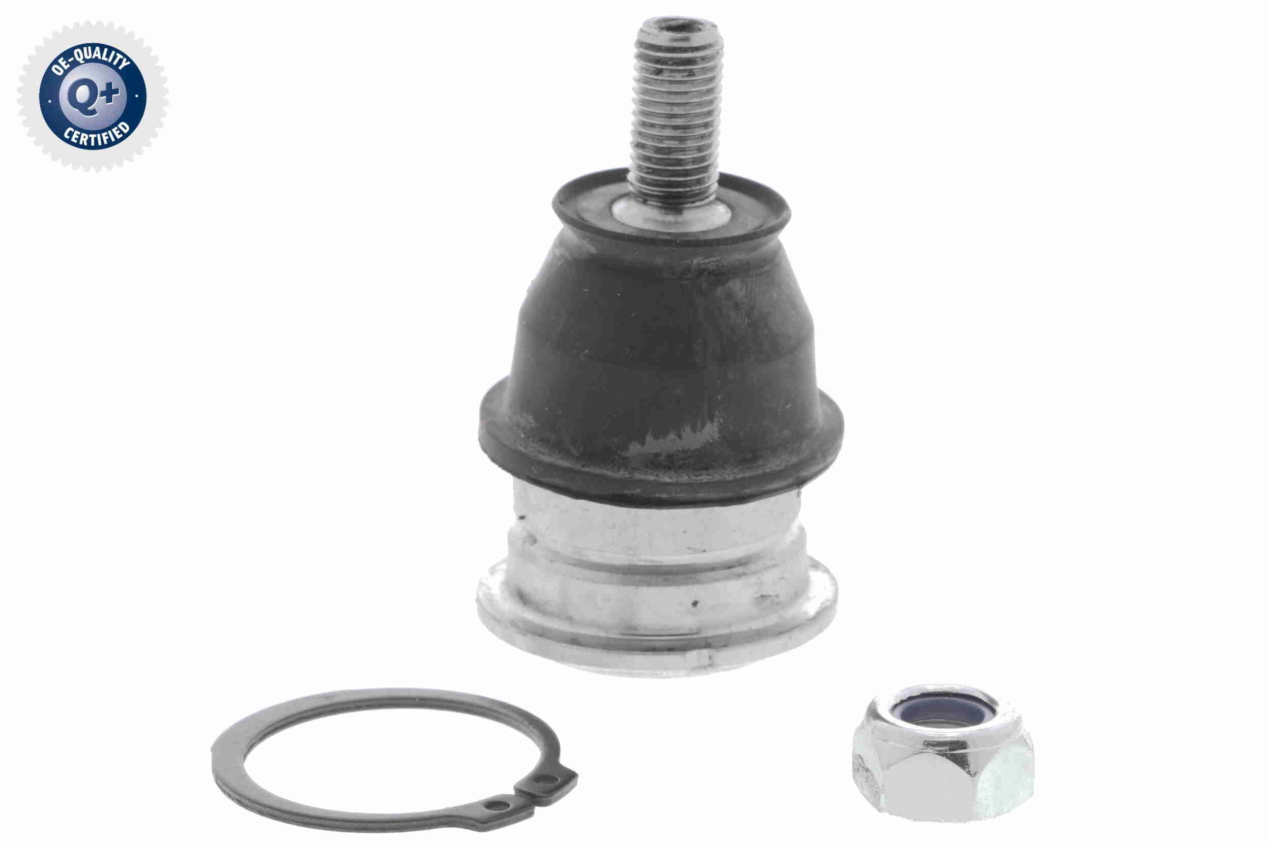 Šarnyras / girgždukas ACKOJA A52-1185