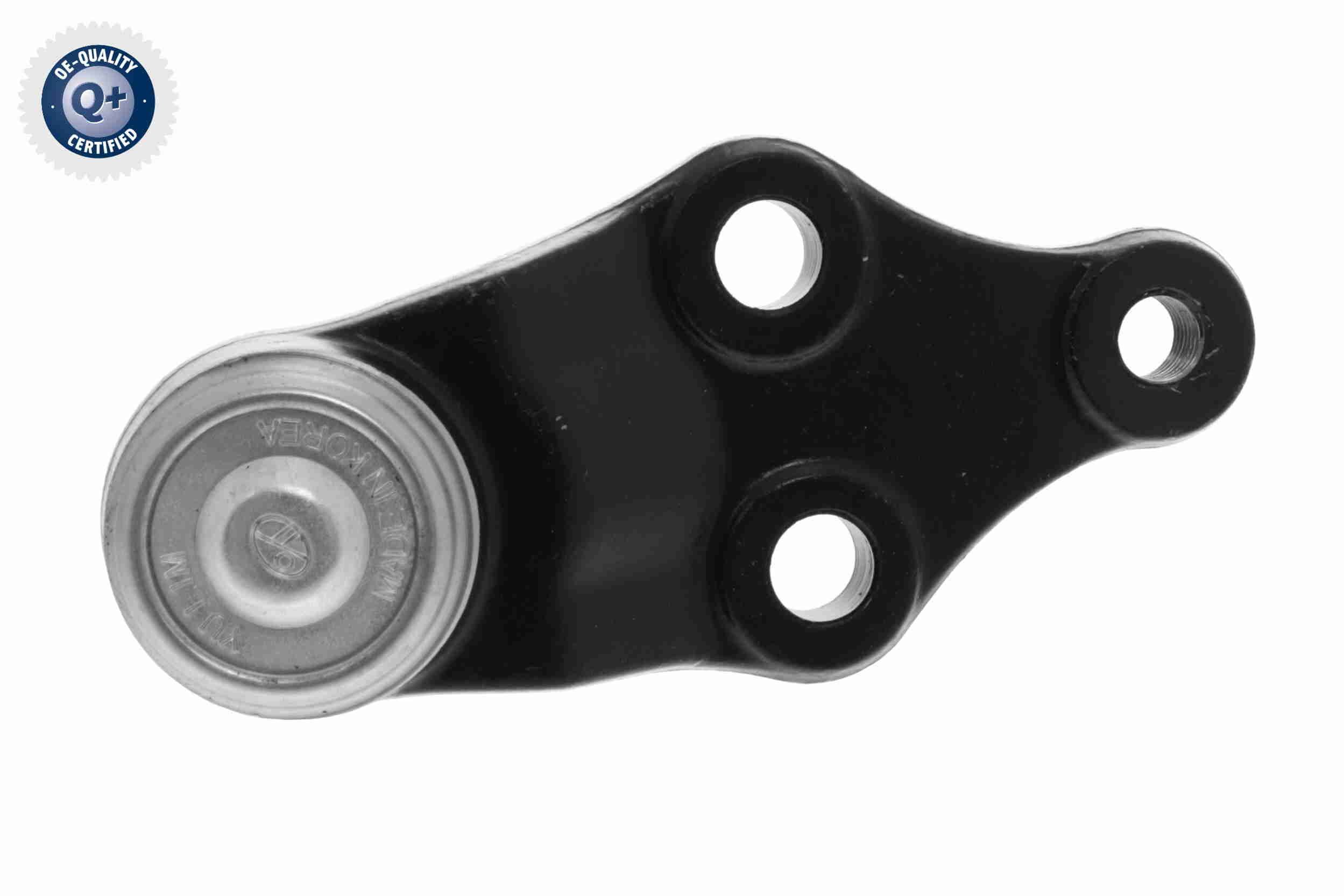 Šarnyras / girgždukas ACKOJA A53-9624