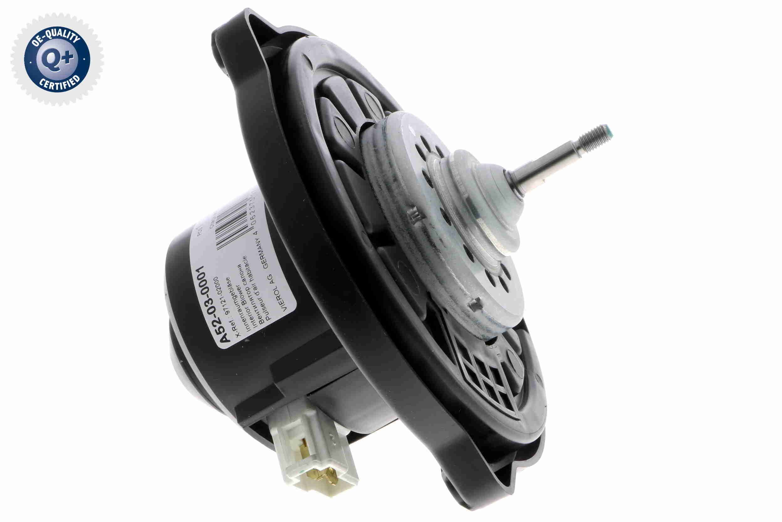 Vidaus pūtiklis ACKOJA A52-03-0001