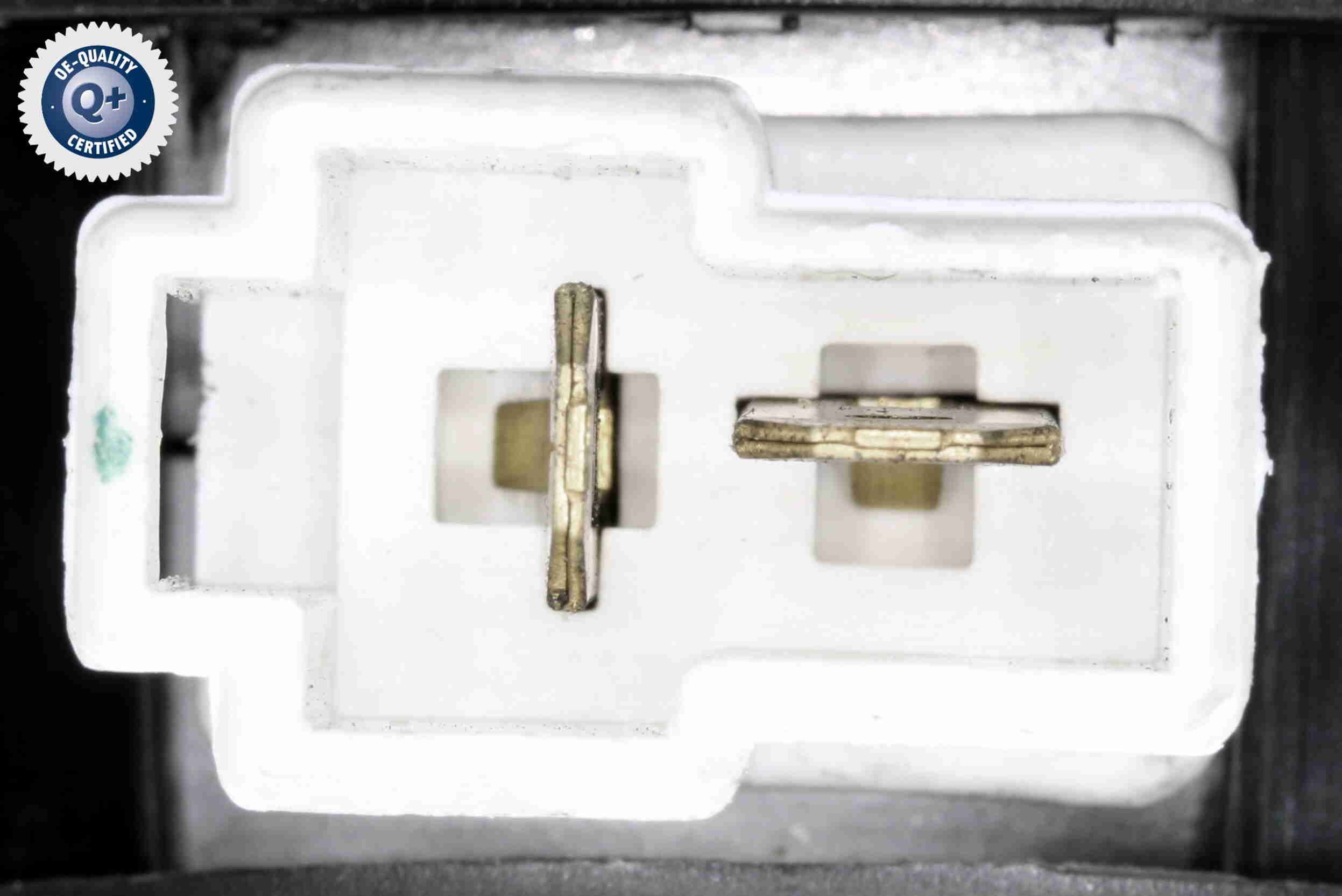 Vidaus pūtiklis ACKOJA A52-03-0001