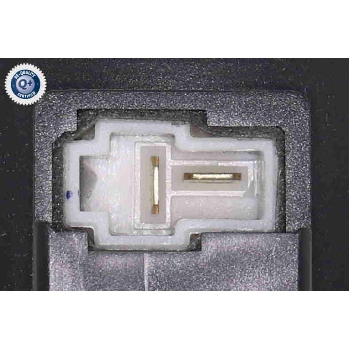 Vidaus pūtiklis ACKOJA A52-03-0002